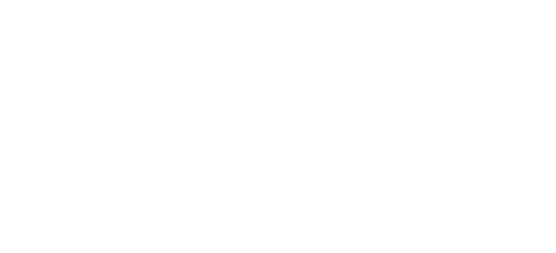 Stylish Wear For Women